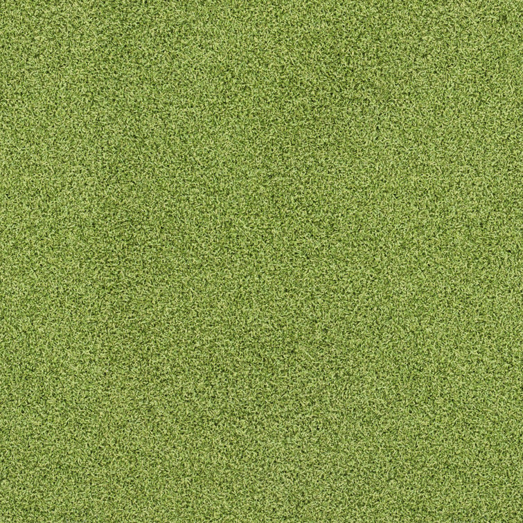 MSI Putting Green 15 ft Wide x 16 mm Cut to Length Artificial Grass
